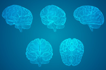 幼儿童话睡前故事