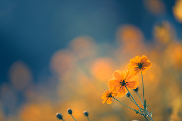 八月完美收官九月再接再厉的句子