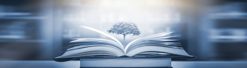 幼儿童话睡前故事