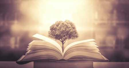 你适合浓妆还是淡妆 选对妆容才能站稳c位