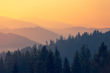 家长感谢老师的话语 暖心发朋友圈