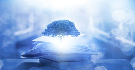 李焕英是贾玲的母亲吗？