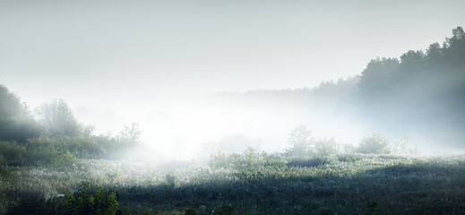 李焕英是贾玲的母亲吗？