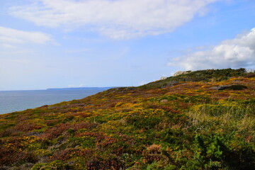 家长感谢老师的话语 暖心发朋友圈