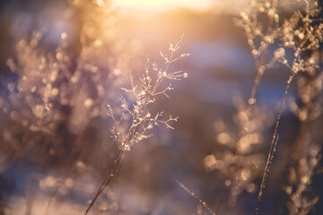 二建高温施工的判定