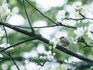 适合一二年级玩的脑筋急转弯及答案大全
