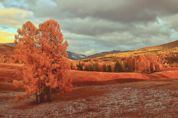 幼儿童话睡前故事