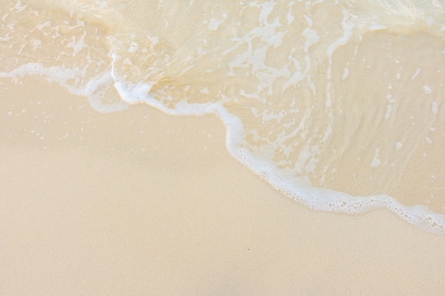 家长感谢老师的话语 暖心发朋友圈