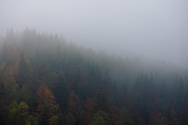 你适合浓妆还是淡妆 选对妆容才能站稳c位