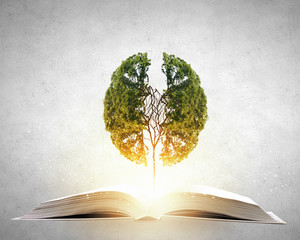 今天分享一些生活小常识英语