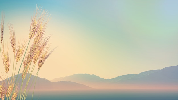 实测辅助”鱼乐达人开挂神器”原来真可以开挂