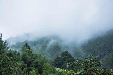 幼儿园孩子的家长会上家长该说什么感想？